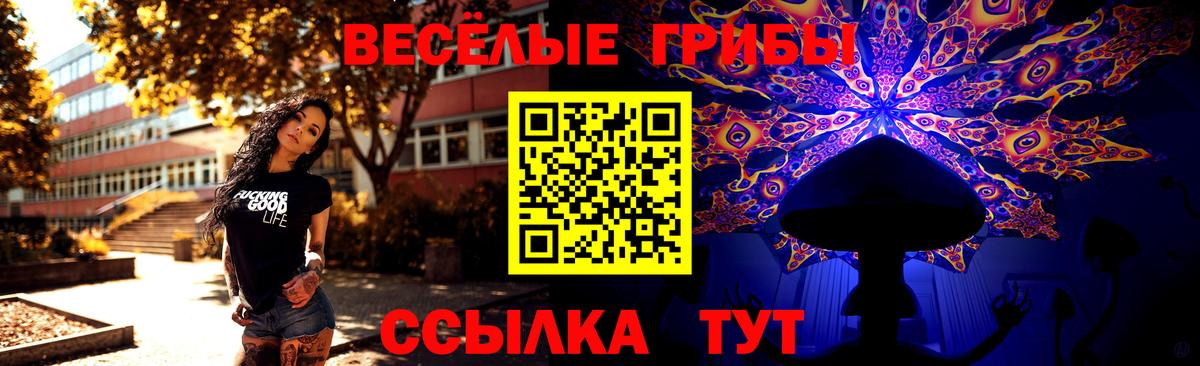 Галлюциногенные грибы Cubensis Краснокаменск